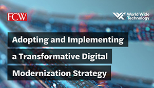 Adopting and Implementing a Transformative Digital Modernization Strategy